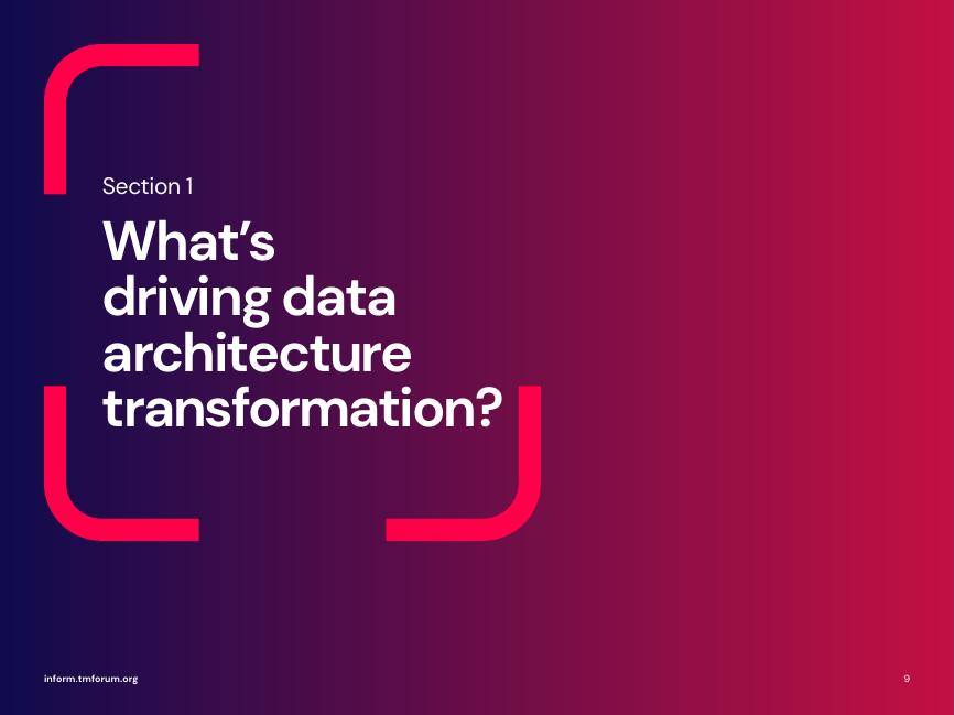 电信管理论坛（TMF）：2025年现代数据架构赋能人工智能（AI）潜力释放研究报告（英文版）_第9页