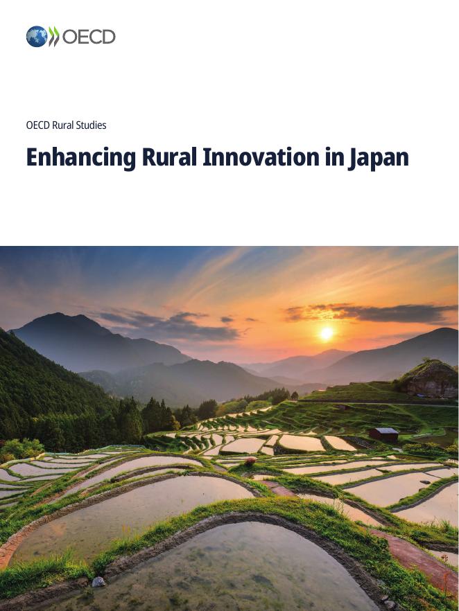OECD经合组织：2025年提升日本农村创新能力研究报告（英文版）海报