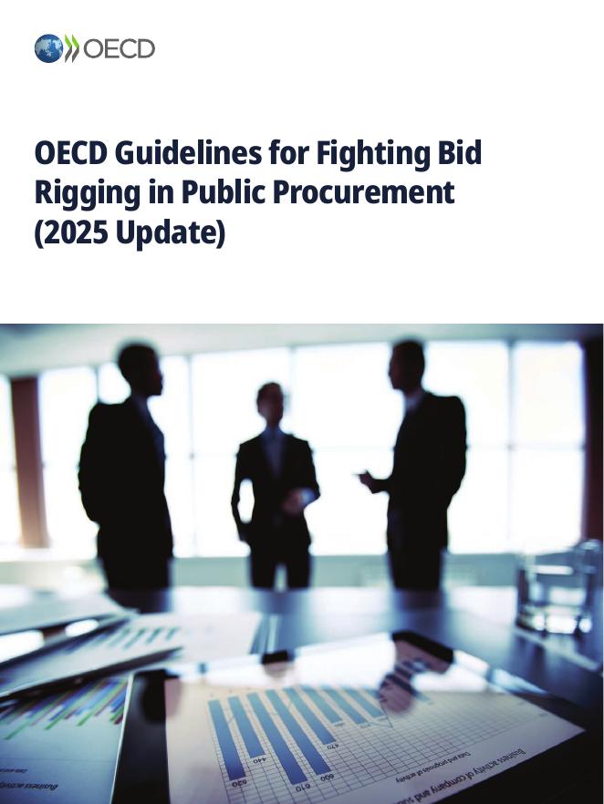 OECD经合组织：2025年打击公共采购操纵投标指南报告（英文版）海报
