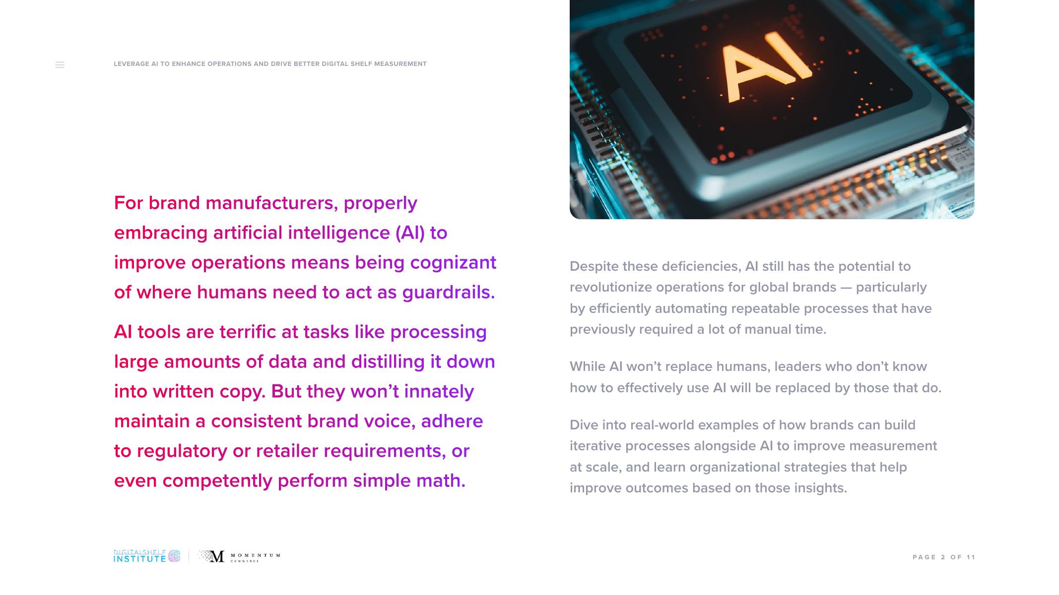 DSI：2023年利用人工智能提升运营并推动更好的数字货架测量报告（英文版）_第2页