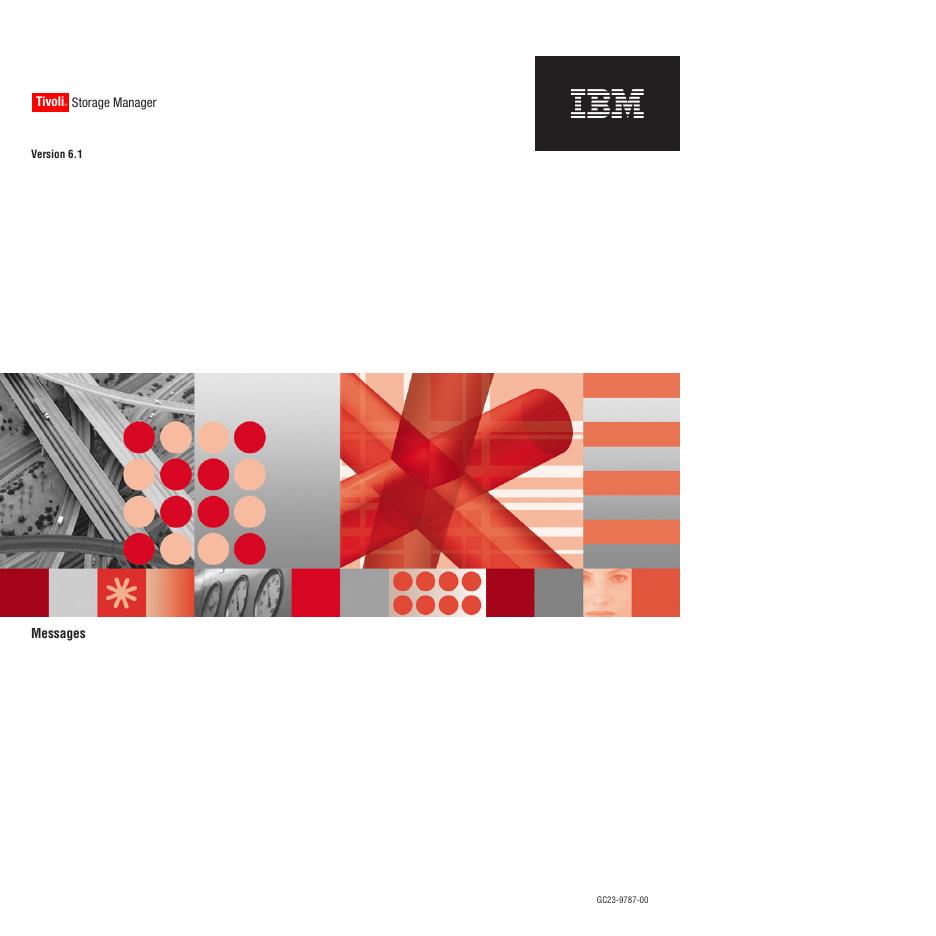 IBM  Storage Manager  Version 6.1 说明书