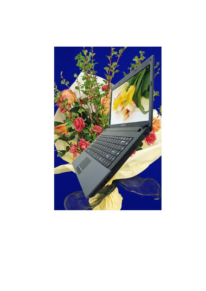 笔记本电脑 说明书(2)