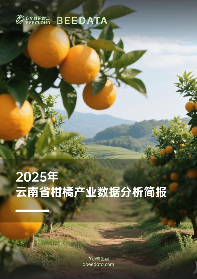 农小蜂：2025年云南省柑橘产业数据分析简报海报