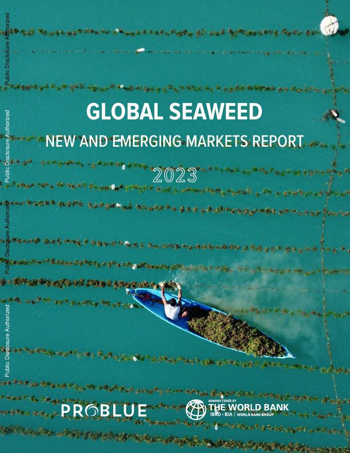 世界银行：2023年全球海藻新兴市场报告（英文版）