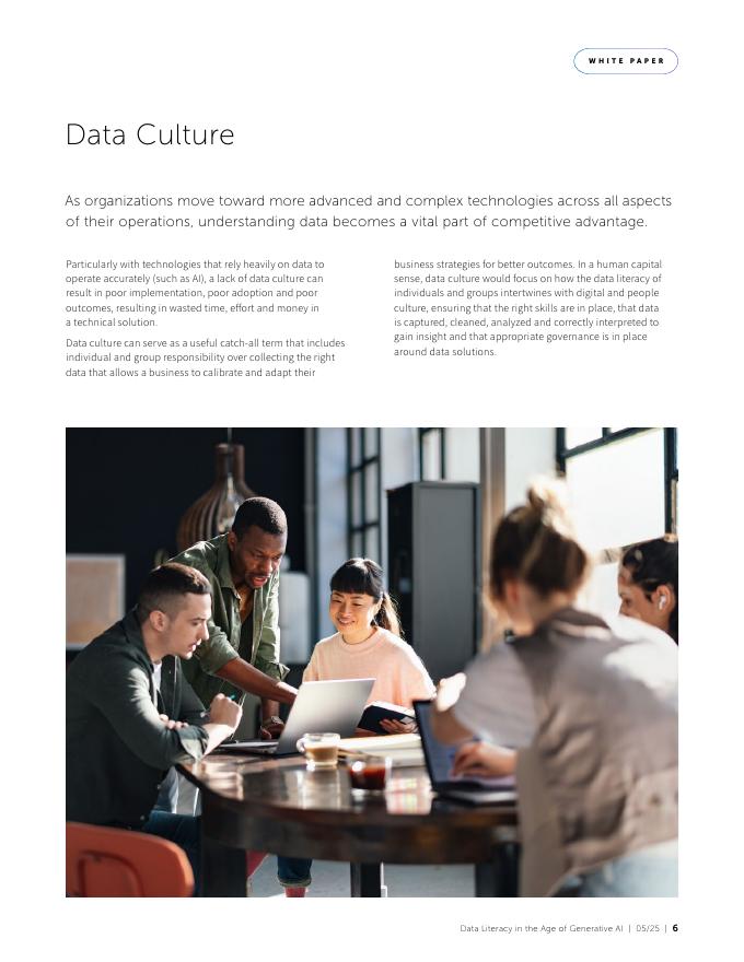 EPAM：2024年生成式人工智能（AI）时代的数据素养白皮书（英文版）_第6页
