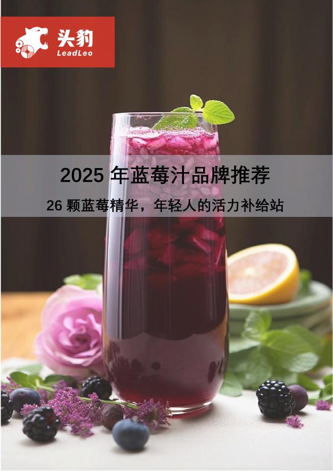 头豹研究院：2025年蓝莓汁品牌推荐：26颗蓝莓精华，年轻人的活力补给站