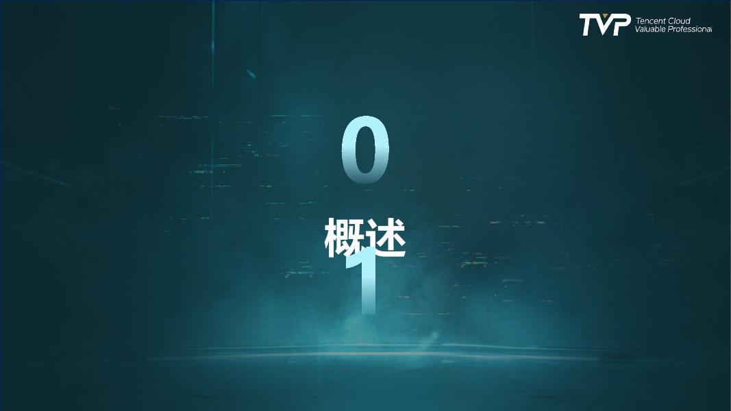 腾讯（吴石）：2025年安全领域大模型构建范式与实践报告_第4页