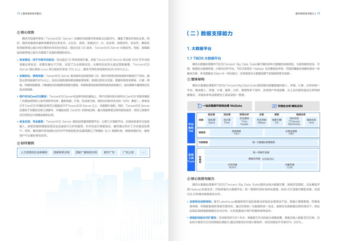 腾讯云：2025年腾讯云数字政府行业解决方案_第10页