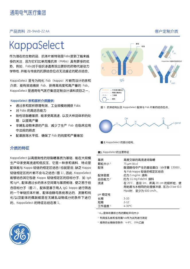 通用电气医疗集团 KappaSelect 说明书