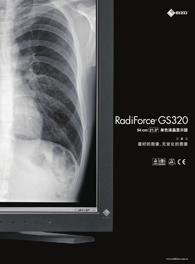 EIZO RadiForce GS320单色液晶显示器 说明书