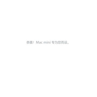 apple Mac mini 说明书