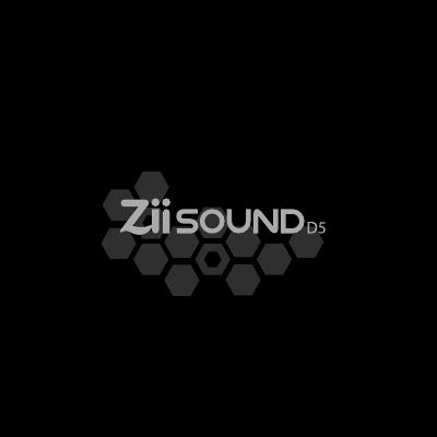 Ziisound D5 说明书