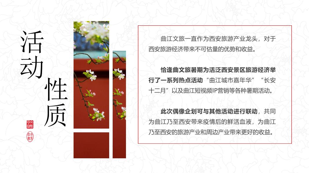 曲江“ 中华云裳 ”国风网红偶像企划_第9页