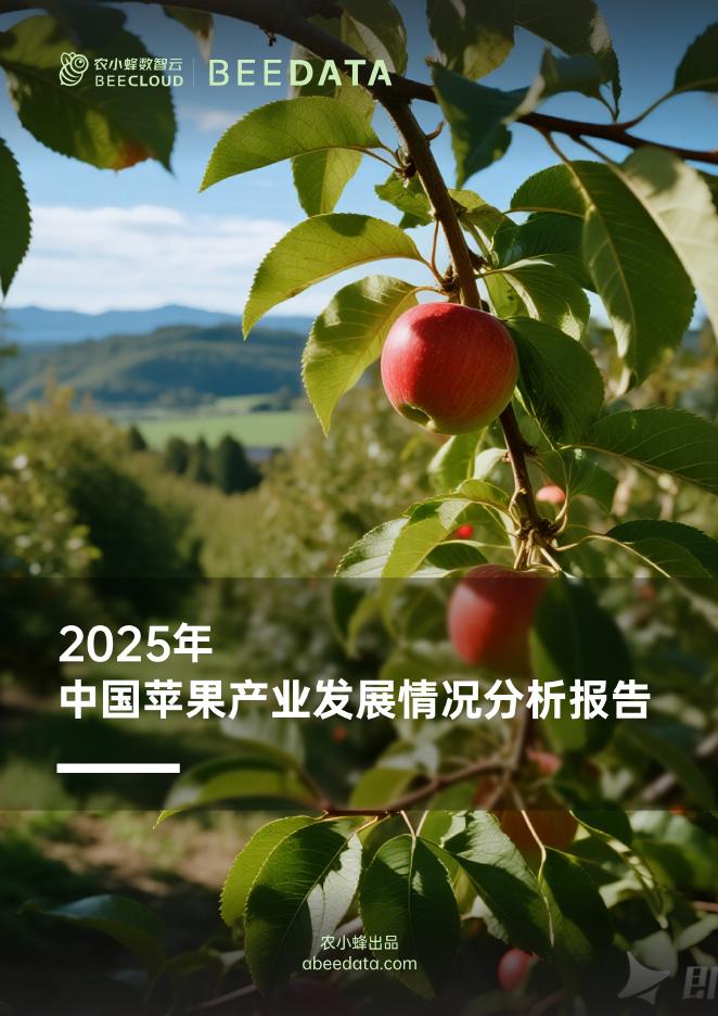 农小蜂：2025年中国苹果产业发展情况分析报告海报
