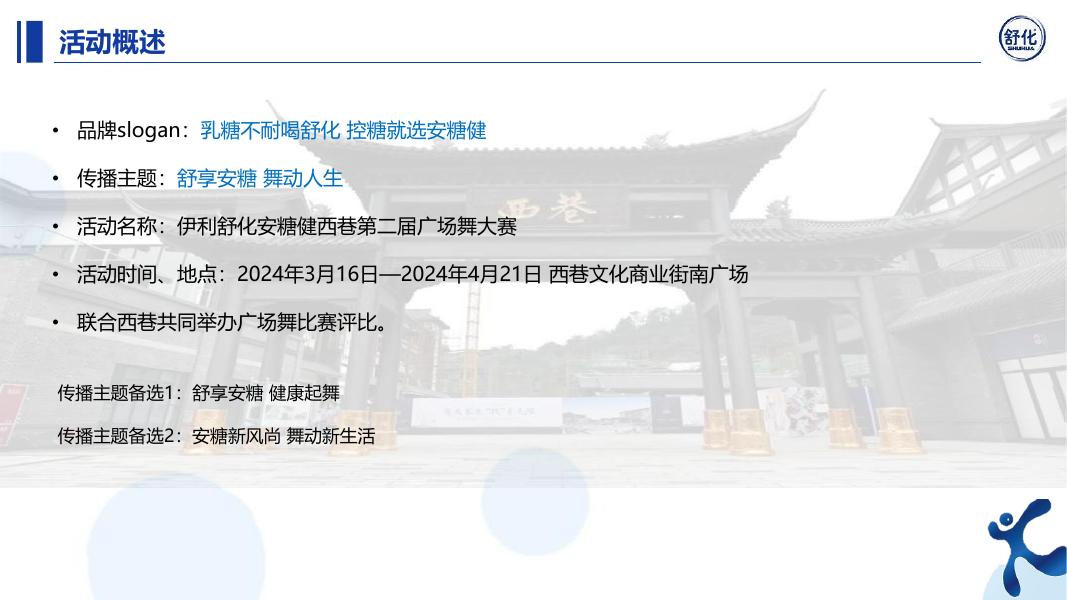 舒化安糖健2024年执行方案设计_第10页