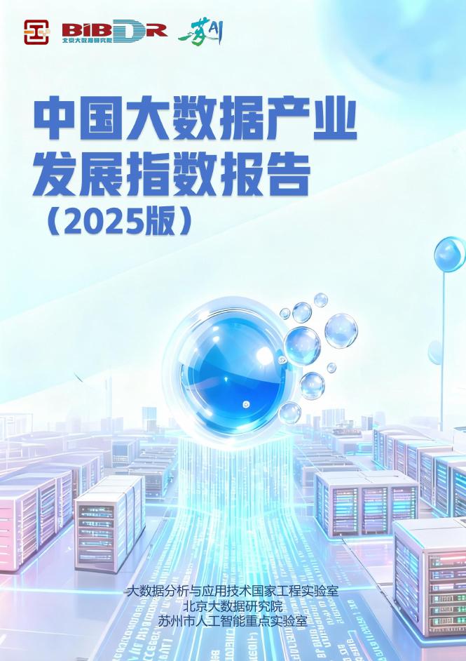 北京大数据研究院：中国大数据产业发展指数报告（2025版）海报