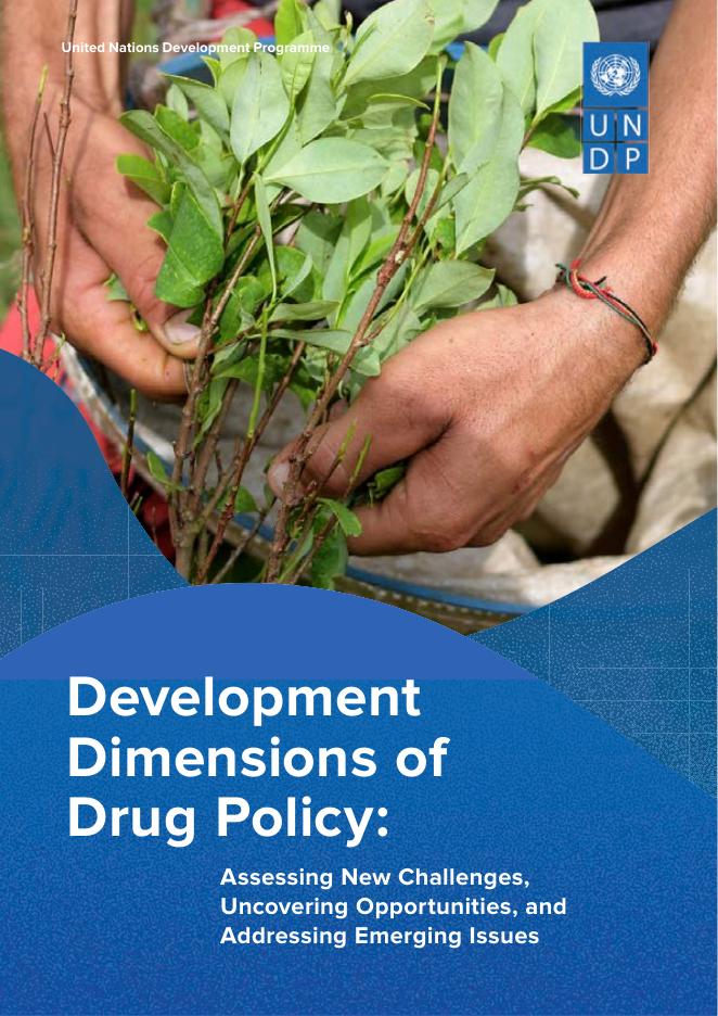 联合国开发计划署UNDP：2025年药物政策的发展维度：评估新挑战、发现机遇和解决新问题报告（英文版）