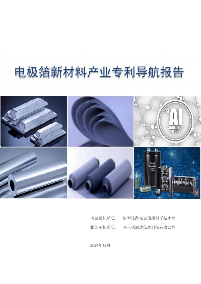 奎屯精溢达信息科技有限公司：2025年电极箔新材料产业专利导航报告海报