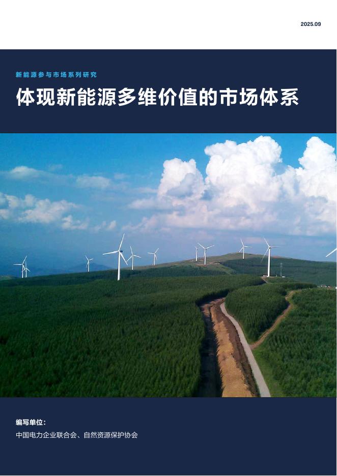 自然资源保护协会：2025年新能源参与市场系列研究：体现新能源多维价值的市场体系报告