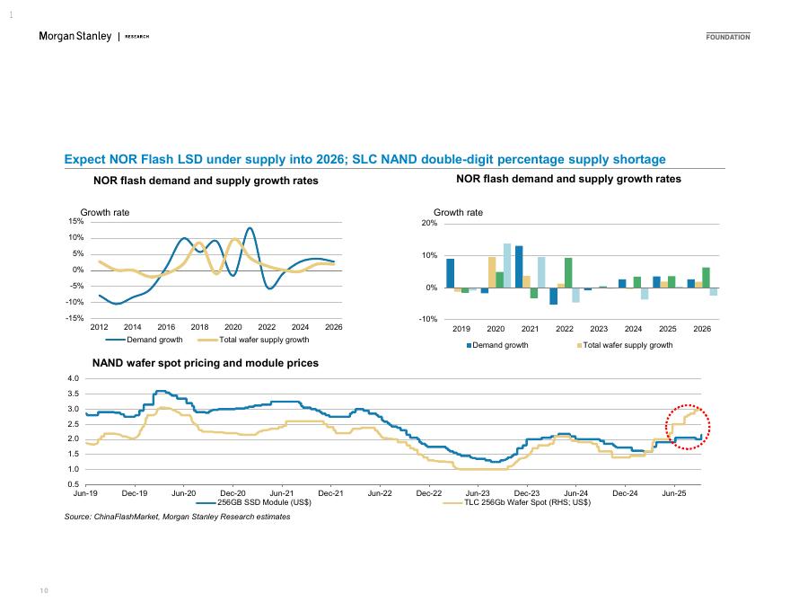 Morgan Stanley：2025年大中华区半导体全球人工智能供应链更新；亚洲半导体的关键机遇报告（英文版）_第10页