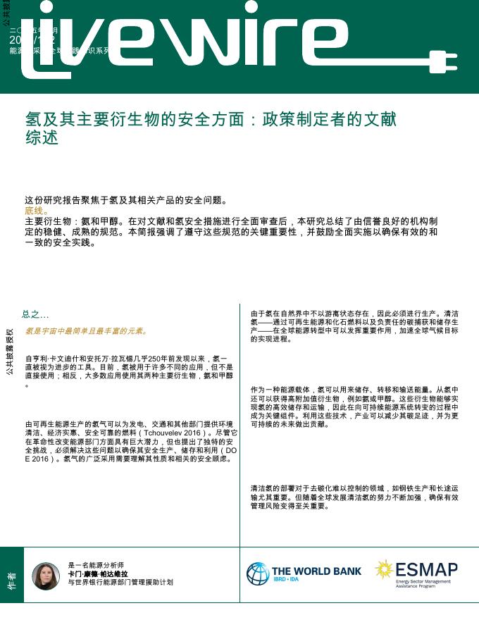 世界银行：2025年氢及其主要衍生物的安全方面：政策制定者的文献综述报告海报