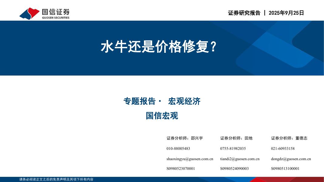 国信证券：宏观经济专题报告：水牛还是价格修复？海报