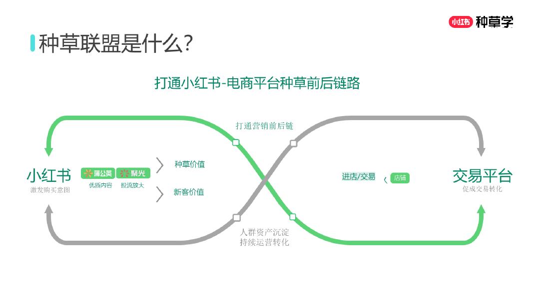 小红书：激活双11增长:把握种草-搜索-双驱动_第9页