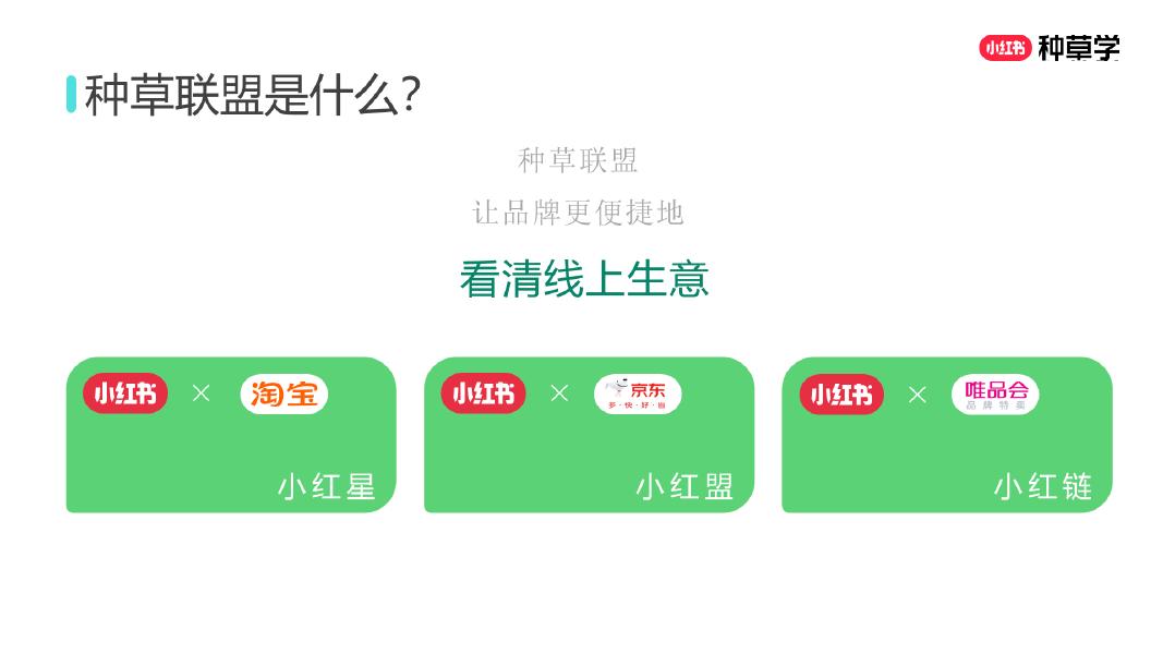 小红书：激活双11增长:把握种草-搜索-双驱动_第10页