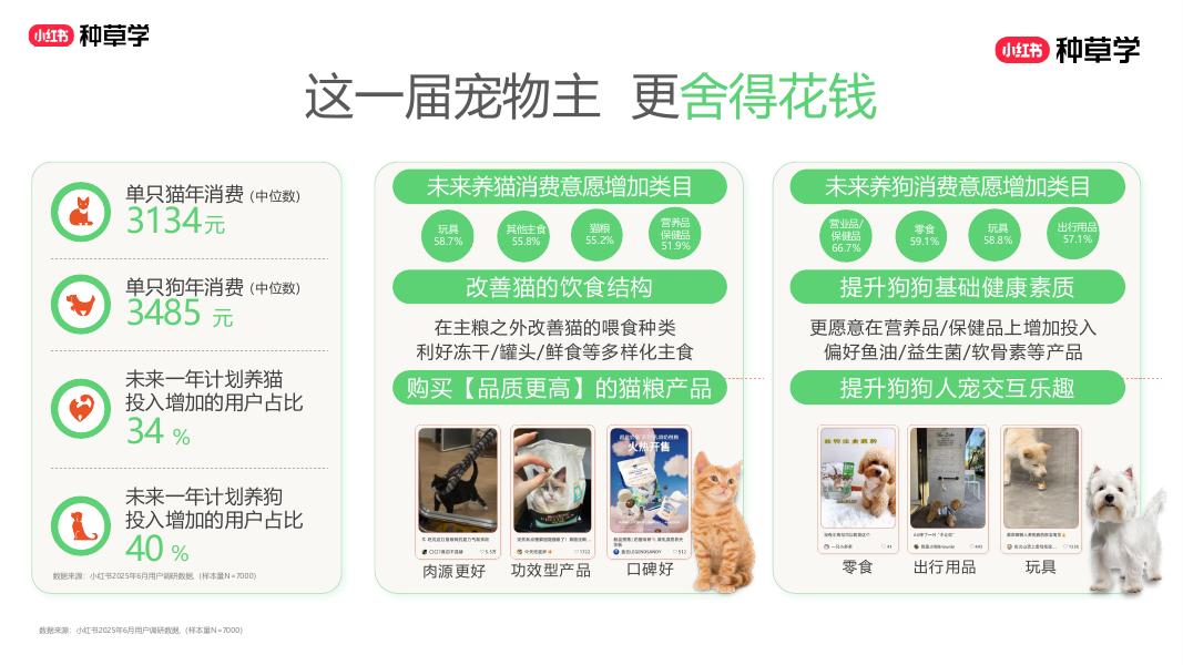 小红书：萌力全开： 双11宠业 全域增长密码_第6页