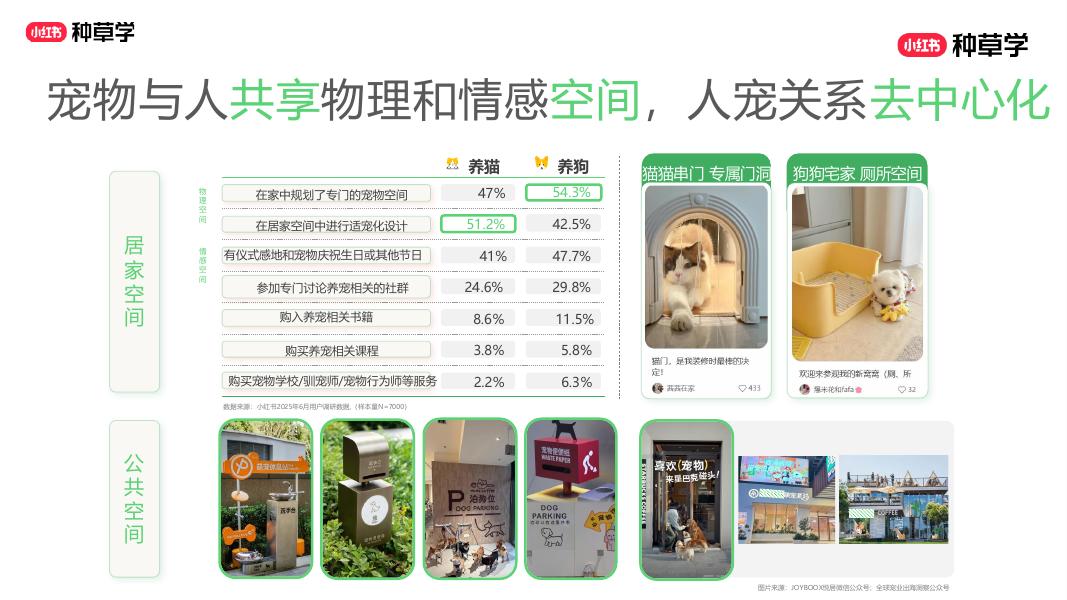 小红书：萌力全开： 双11宠业 全域增长密码_第9页