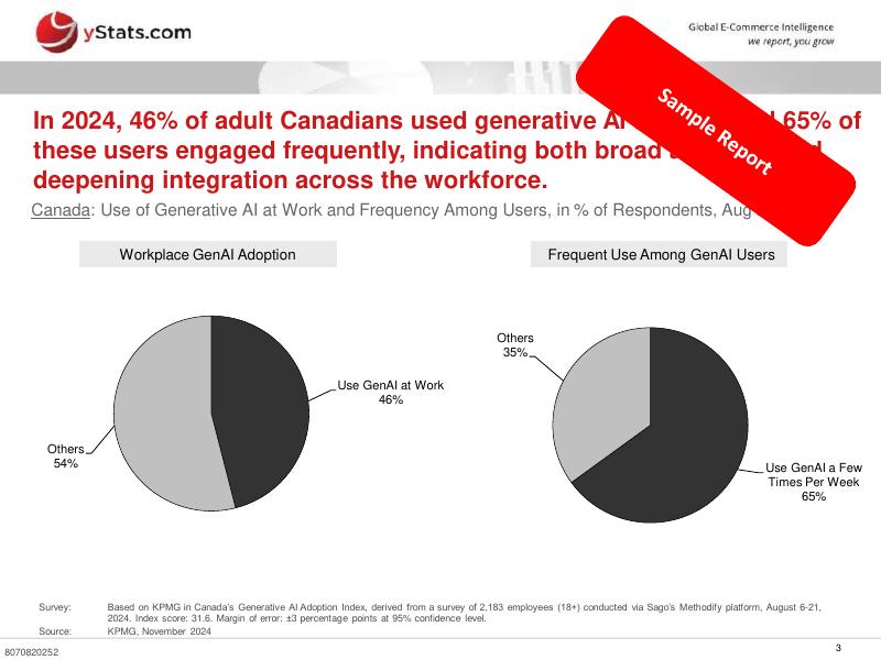 yStats：北美支付和电子商务中的人工智能：2025年的扩展、投资回报和监管准备样本报告（英文版）_第3页