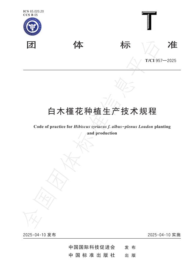 T/CI 957-2025 白木槿花种植生产技术规程