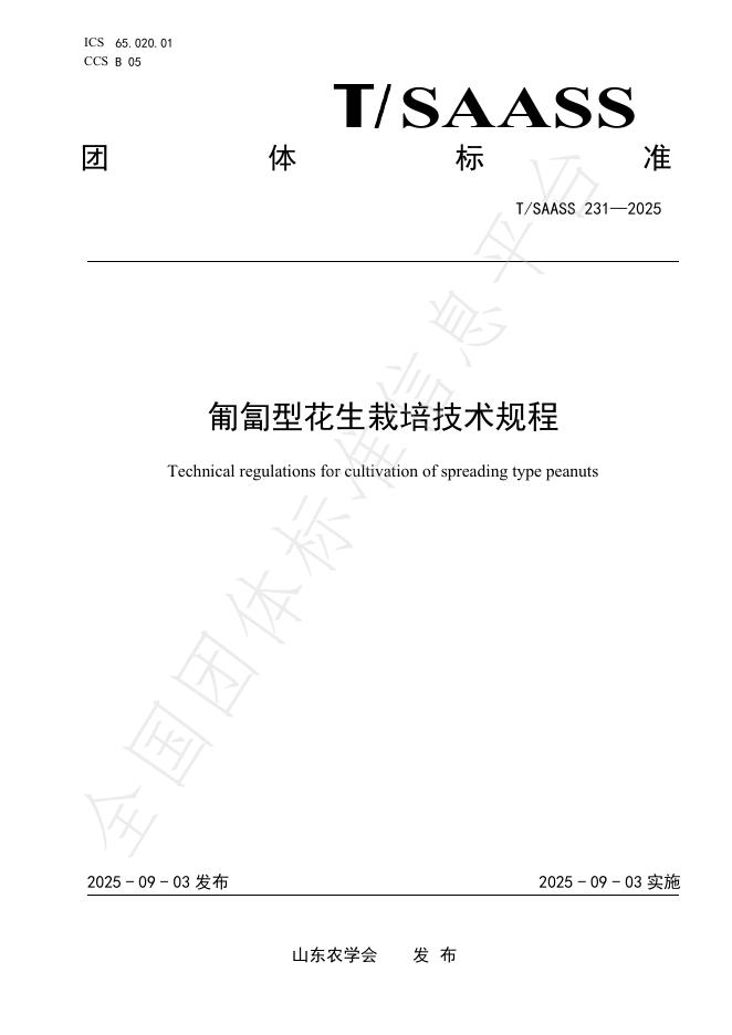 T/SAASS 231-2025 匍匐型花生栽培技术规程