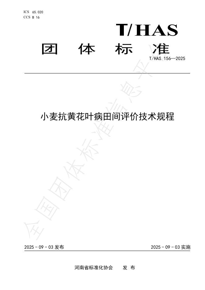 T/HAS 156-2025 小麦抗黄花叶病田间评价技术规程