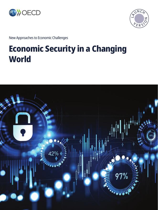 OECD经合组织：2025年全球变局中的经济安全研究报告（英文版）海报