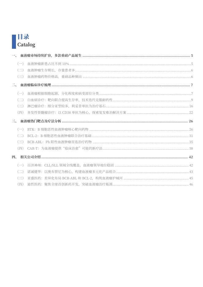 2025年血液瘤药物行业市场需求空间、热门靶点与疗法、相关公司分析报告_第2页