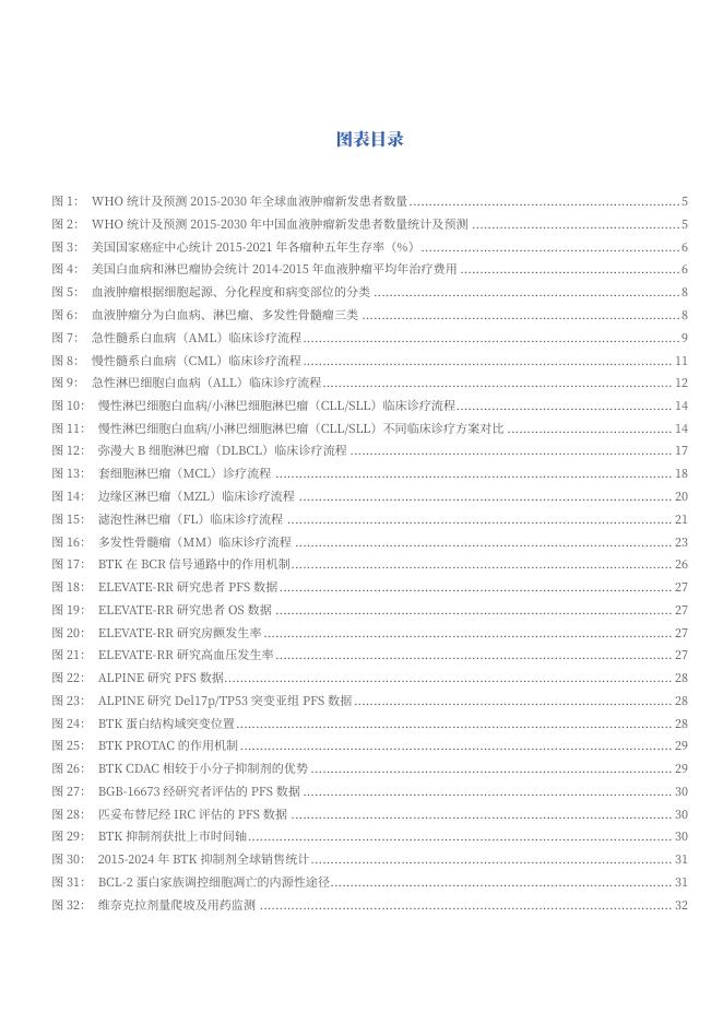 2025年血液瘤药物行业市场需求空间、热门靶点与疗法、相关公司分析报告_第3页