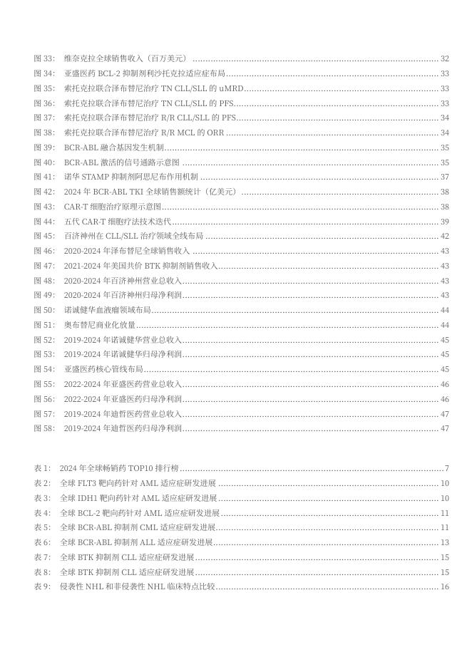 2025年血液瘤药物行业市场需求空间、热门靶点与疗法、相关公司分析报告_第4页