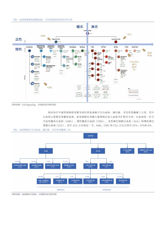 2025年血液瘤药物行业市场需求空间、热门靶点与疗法、相关公司分析报告_第9页