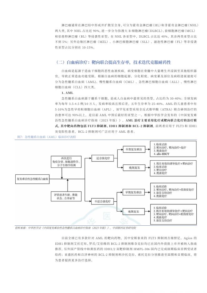 2025年血液瘤药物行业市场需求空间、热门靶点与疗法、相关公司分析报告_第10页