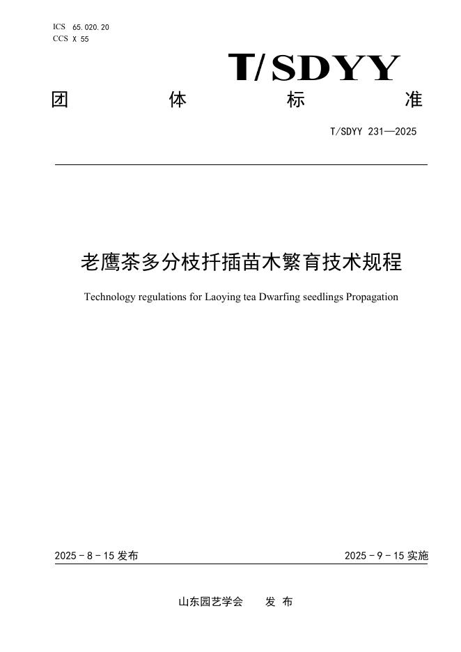 T/SDYY 231-2025 老鹰茶多分枝扦插苗木繁育技术规程