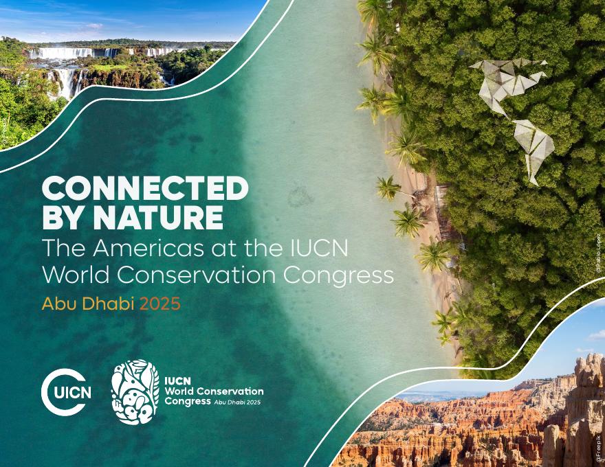 世界自然保护联盟IUCN：2025年美洲在IUCN世界自然保护大会报告（英文版）海报