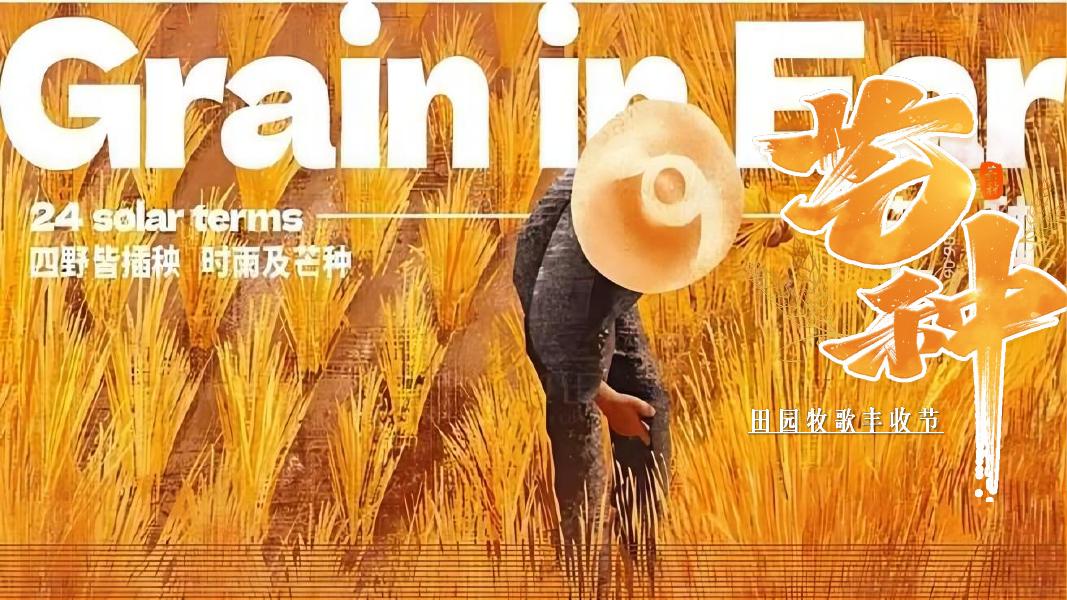 四野皆插秧 时雨及芒种-秋委互动亲子公共组织文化节活动策划方案