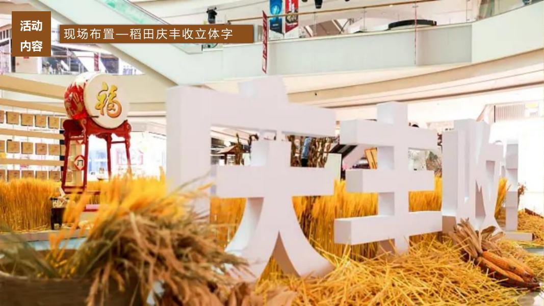 四野皆插秧 时雨及芒种-秋委互动亲子公共组织文化节活动策划方案_第7页