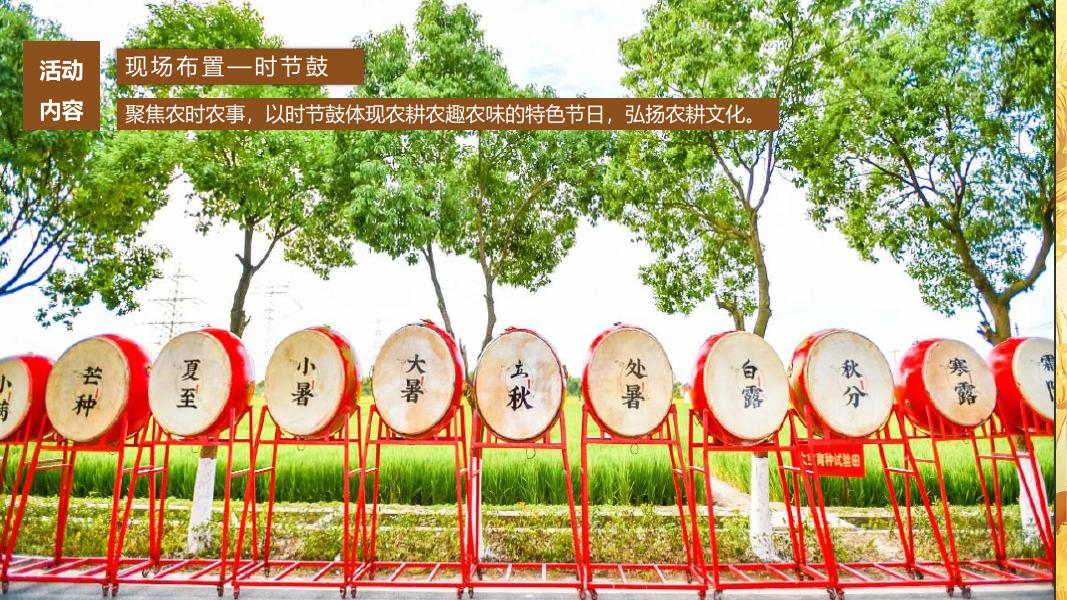 四野皆插秧 时雨及芒种-秋委互动亲子公共组织文化节活动策划方案_第9页