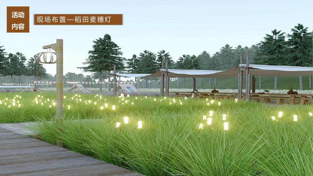 四野皆插秧 时雨及芒种-秋委互动亲子公共组织文化节活动策划方案_第10页