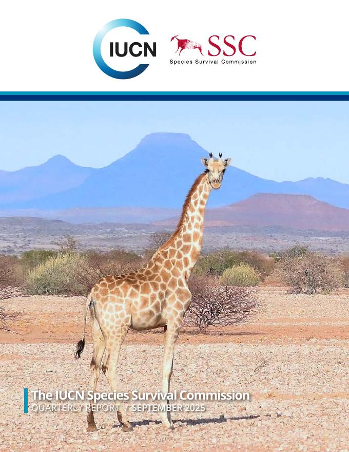 世界自然保护联盟IUCN：2025年生物多样性与保护区：投资南美洲报告（英文版）海报