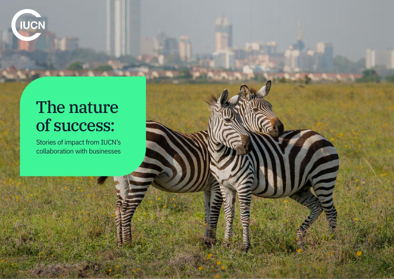 世界自然保护联盟IUCN：2025年成功的本质：IUCN与企业合作的影响力故事报告（英文版）海报