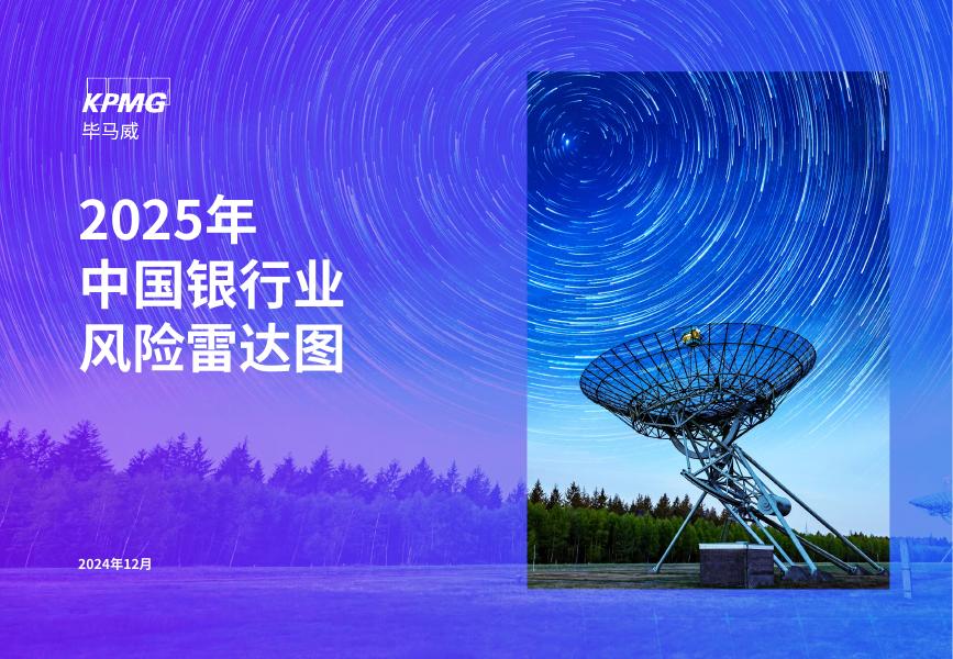 毕马威：2025年中国银行业风险雷达图