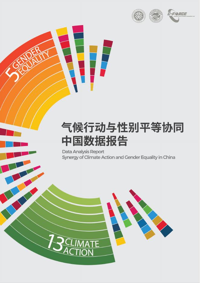 C Force：2025年气候行动与性别平等协同中国数据报告海报